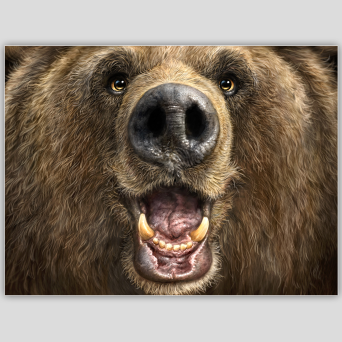 Bear Boop