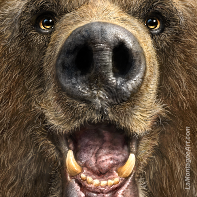 Bear Boop - Image 4