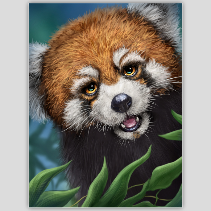 Peekaboo Panda