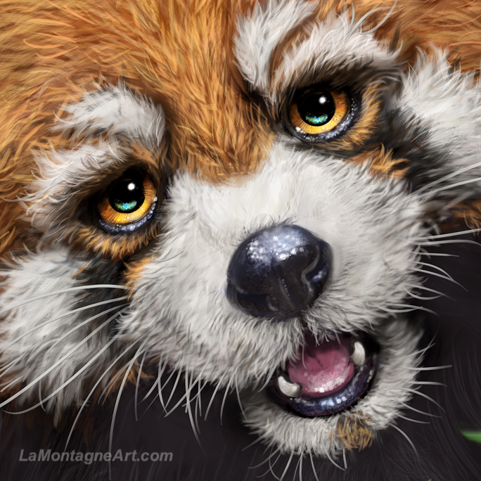 Peekaboo Panda - Image 4