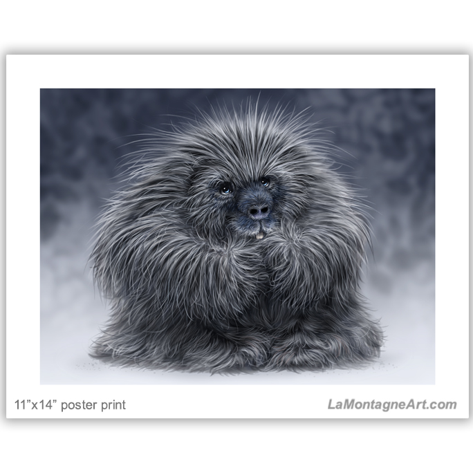 Porcupine - Image 2