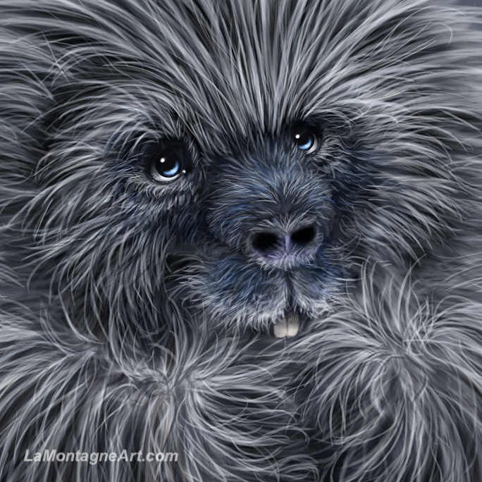 Porcupine - Image 4