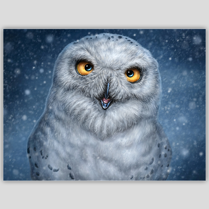 Snowy Owl