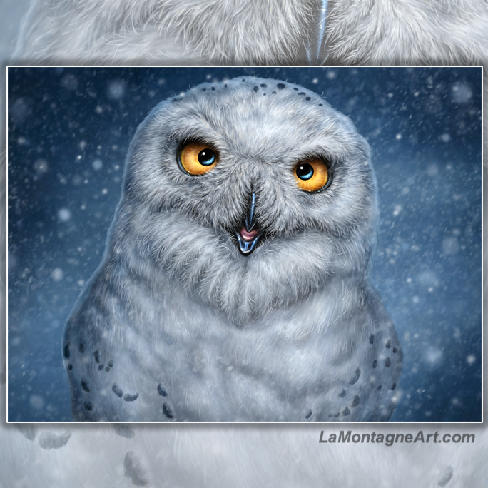 Snowy Owl