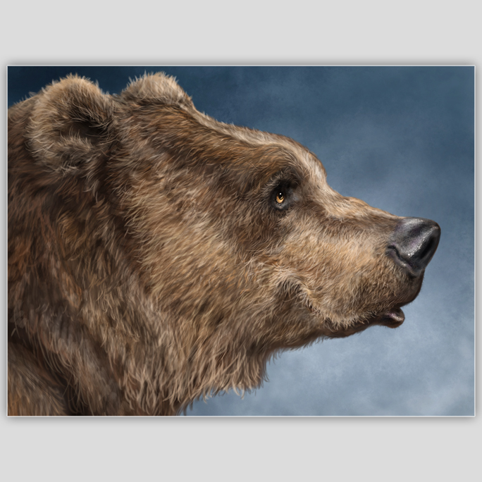 Gentle Grizzly